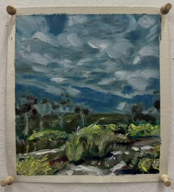 Bush landscape oil study with a big cloudy sky by Aleshanee Karan