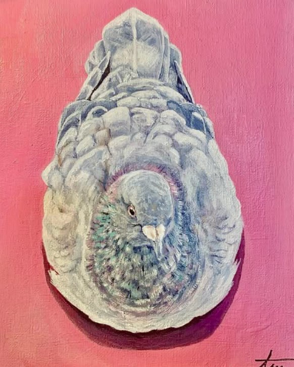 Garry the Pigeon, oil painting of a plump pigeon on a rose ground by Aleshanee Karan
